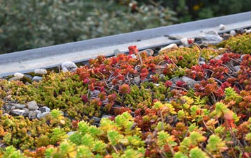 the cost of Smith Green green roof installation