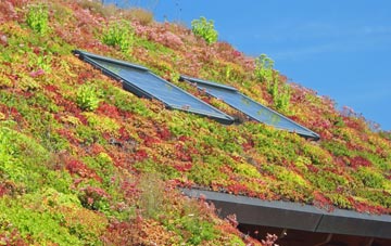 Smith Green living roof systems