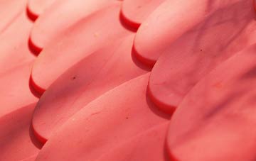 Smith Green plastic roof costs