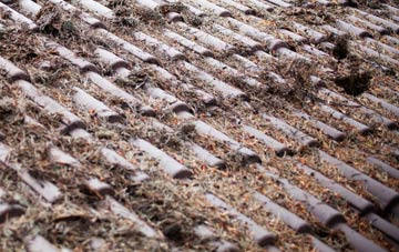 Smith Green roof cleaning companies